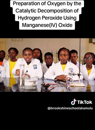 Prepare Oxygen: Catalytic Decomposition Experiment