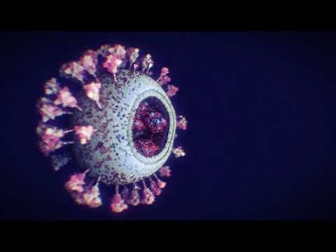 The structure of the novel coronavirus SARS-CoV-2