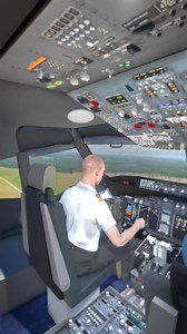 40M views · 491K reactions | Emergency Plane Landing  (explained) | Zack D. Films | Facebook