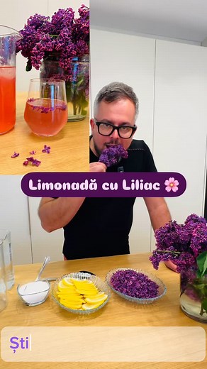 andreimarincean.ro on Instagram: "Stiai ca poti face socata si din flori de liliac 🌸(Syringa vulgaris)? E parfumata, discret dulce si are gustul pur al primaverii. O lasi de azi pe maine si te trezesti cu natura in pahar. Liliacul nu e doar de admirat – se bea! #socata #socatanaturala #florideliliac #liliac #syringavulgaris #retetenaturale #remediiromanesti #fermentatienaturala #drinksoftiktok #primavara #tradițieromaneasca #homemadedrinks #naturalvibes #beaudinflori"
