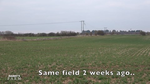 Strong Crops but Fertiliser Costs Raise Big Questions