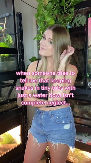 Yeah it’s no from me dog 🚩 #ballpythons #ballpythoncare #reptilecare #reptilecaretips #reptilekeeping #snakecare #reptilekeeperlife #reptilekeepers #snakekeepers #snakekeeping #snakekeepingtips #PartyWithVMAs