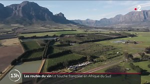 2K views · 57 reactions | Nous vous emmenons sur la route des vins, en Afrique du Sud. La vallée de Franschhoek se traduit littéralement par "le coin des Français", et voici pourquoi... | France TV Afrique | Facebook
