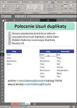 Excel in 10 Minutes - Removing Duplicates