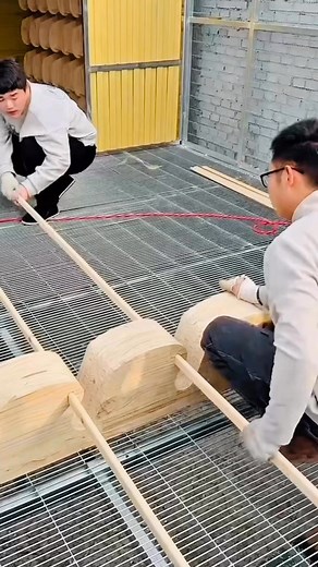 Making a pigeon perch and placing it properly #reelsvideoシ #fblifestyle #racingpigeons | Amazing Loft