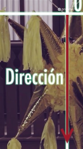 Vector addition #learnmore #distancelearning #history #vectors #physics