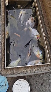 David C. Rich on Reels