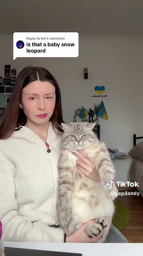 Snow Leopard and Gepard Adventures - Ukraine Andy Compilation