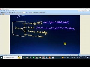 Tally Practical basic