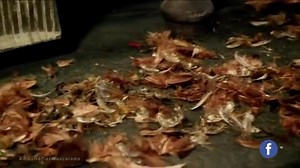 18K views · 1.1K reactions | Novela Gênesis - Capítulo 201 - Completo HD | Pr Leandro Oliveira | Facebook