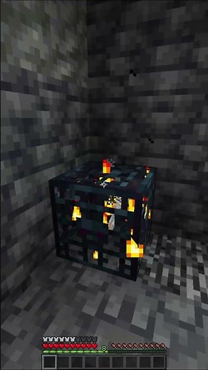 How much money can 1 skeleton spawner give you in 1 min?