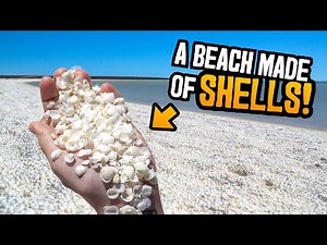Checking out Shell Beach & making our way into the Francois Peron National Park | Shark Bay EP2