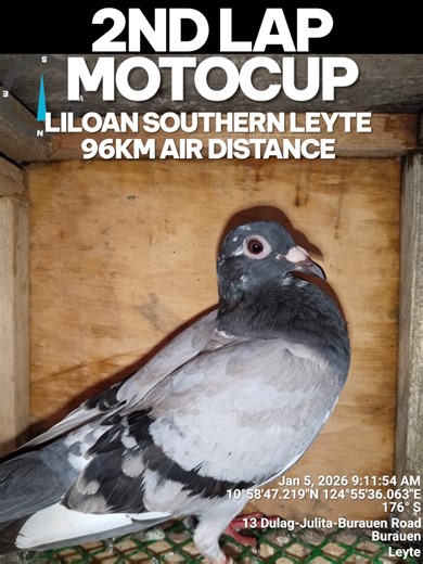 Exciting Jan Five Smash Race Highlights