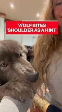 Wolfgirl’s WOLF BITES her arm - Why did he do that?