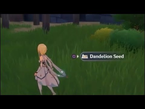 Genshin impact dandelion seed locations/How To Farm This plant Guide