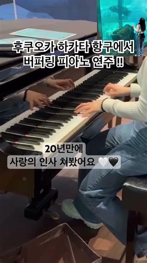 후쿠오카에서 피아노, 하카타항 가시면 토요이치 초밥 먹구 꼭 미니수족관이랑 피아노 들르세요! 🎹🎣