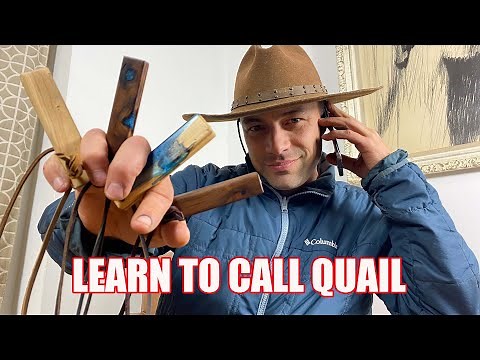 How to call California and Gambels Quail - Plus tuning and maintaining your call