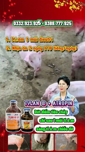 🔥 1 MŨI T.I.Ê.M – GIẢM NGAY TIÊU CHẢY, BÀ CON ĐỠ TỐN CÔNG!