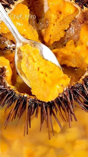 Have You Ever Had Really Good Sea Urchin? 🧡#seaurchin #うに