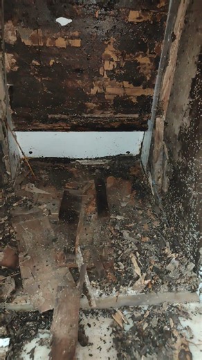 Kitchen Cupboards Removing | Termite Attack | AD Pest Control Services #ytshorts