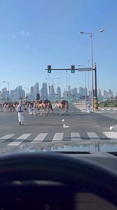 1.7M views · 122K reactions | Qatar view Check Karen #qatar #uae #camels #animalslove #love # | Travel and Tour service | Facebook