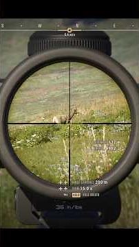 Hunting a Rocky Mountain Deer with High Caliber in Way of the Hunter 2 gameplay