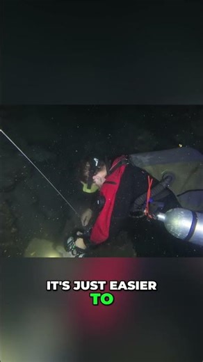 Scuba Diving: Mastering Buoyancy and Line Techniques #floridasprings #cavediving #caves #scuba