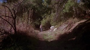 Elvis The Movie [1979]DVDRip[Xvid]AC3 5.1[Eng]theone-1