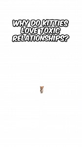 Why do kitties love toxic relationships? #fyp #phdkitten #phdkitty | Phdkittyofficial