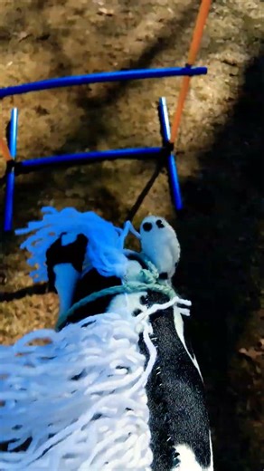 jumping panda for the first time!!🐼