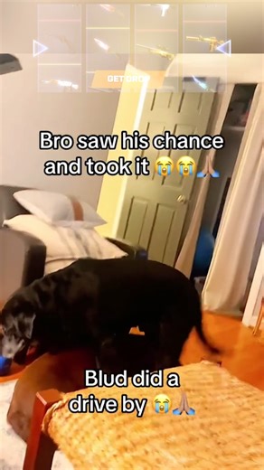 6.6K views · 25 reactions | Speed-Strike 沈 Get a +30% bonus by using the promocode ✨ D52DA7 ✨ #MyCSGO #CSGOnet #CSGO #CS2 #CS2moments #CS2funnymoments | CSGO.net | Facebook