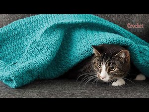 Easy Crochet Cat Blanket