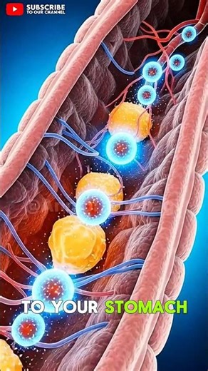 What Ice Cream Does Inside Your Body? 😲 | 3D Animation