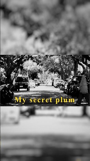 最新曲「My secret plum (Lyric Video)」公開中🎥