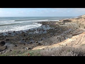 Cabrillo National Monument Tide Pools