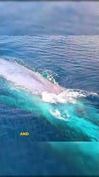 Quebec’s Famous Fjord.