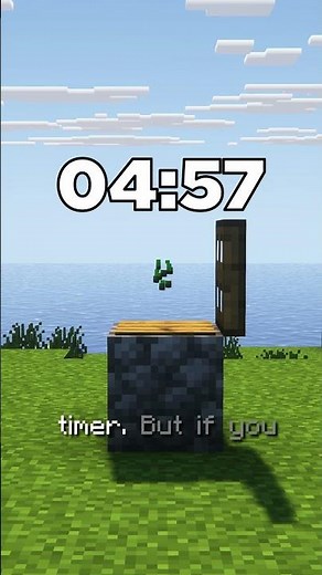 The Simplest Timer in Minecraft Java & Bedrock