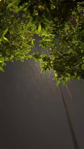 Ojos Negros - La Magia Musical de Ricardo Montaner