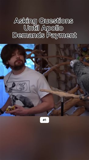 Asking Apollo the Right Questions