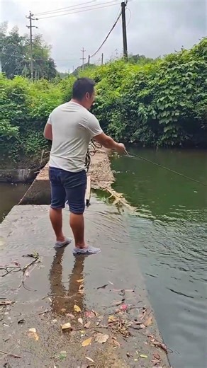 catching big freshwater fish #fishing #net #fishingequipment