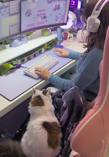 The Unique Bond Between Gamers and Their Cats