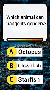 2.2K views · 209 reactions | General Knowledge Quiz: Test Your IQ with These Questions 易 | Quiz answers | Facebook