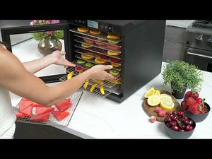 Magic Mill Food Dehydrator Machine 10 Stainless Steel Trays