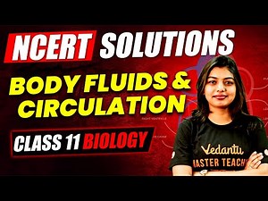 Body Fluids and Circulation | Class 11 Biology | NCERT Solutions