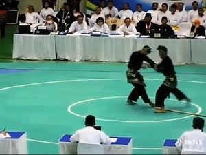 Exploring the Art of Pencak Silat