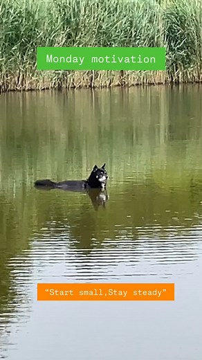 You don’t need a big start today. Just one small move in the right direction. Keep it simple. Keep it steady. That’s enough. ✨ Happy Monday — Stay Chill 🤙🏻 | Steven Vervoort