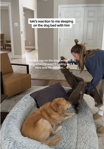 Napping on Dog Beds: Sweet Moments with My Dog