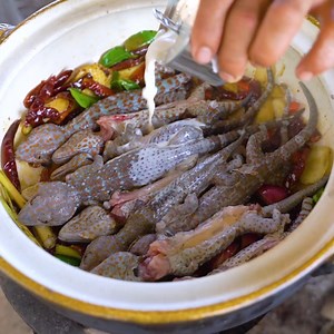 Gecko Cooking 😋 | Wilderness Food