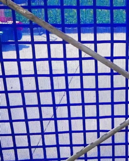 Anti-fire Construction Netting, factory direct supply