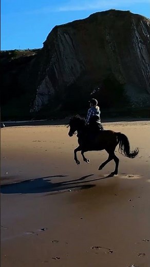 THIS IS WHAT FREEDOM SOUNDS LIKE . Cantering on the beach🔥 #horse #freedom #nature